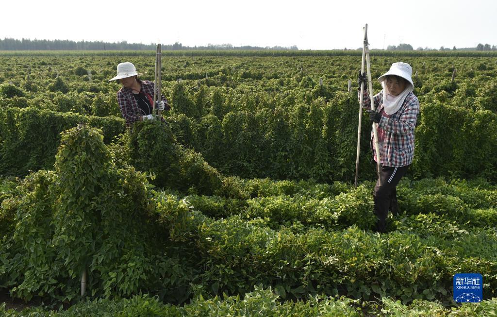 永利澳门登录